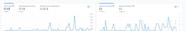 Graphs of revenues and buyers over a period