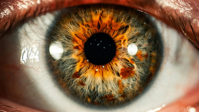 Gros plan d’un œil humain coloré